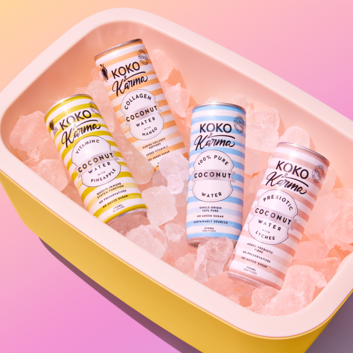 All Koko and Karma product variations in an ice box